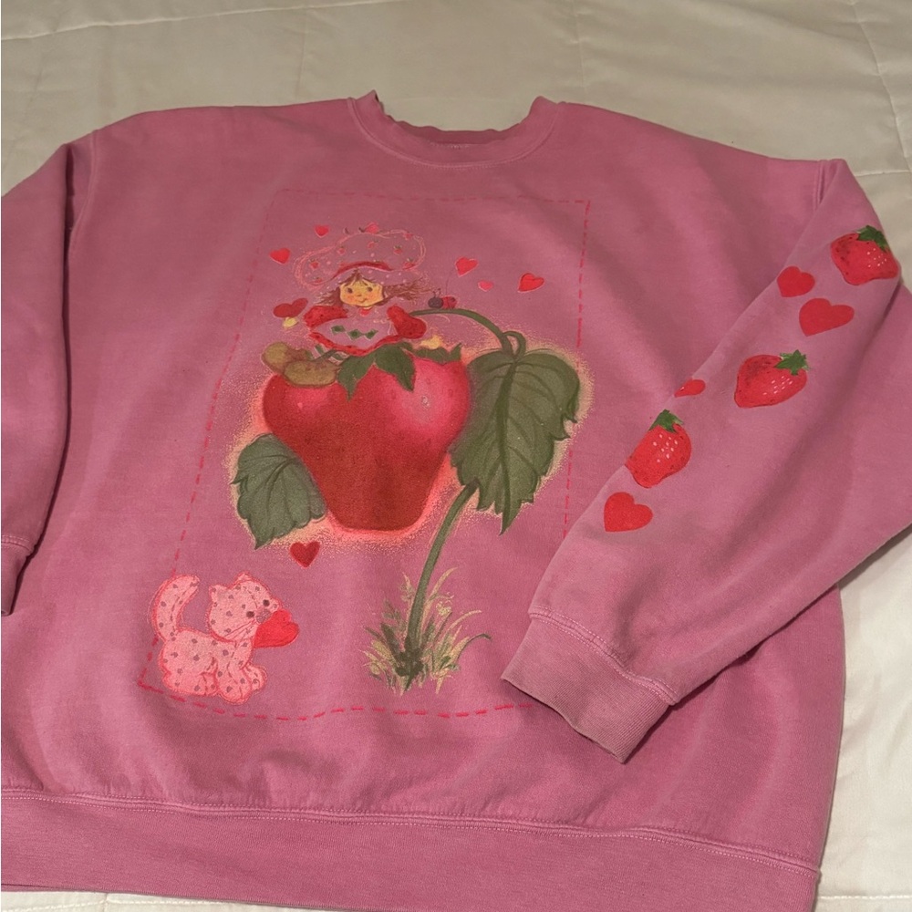 Strawberry Shortcake Pink PacSun Sweater Sweatshirt